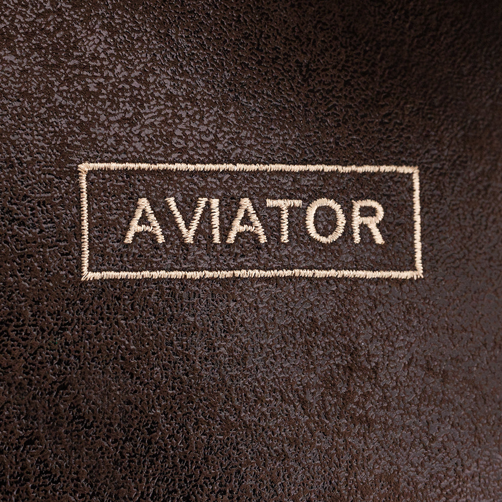 Po the Hippo: Aviator