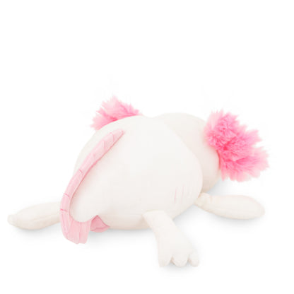 Weißer Axolotl