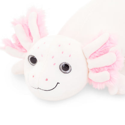 Weißer Axolotl